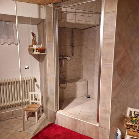 Grosses Gemuetliches Zimmer Mit Eigener Dusche Und Sauna Auf Wunsch ไรน์ชเตทเทน ภายนอก รูปภาพ